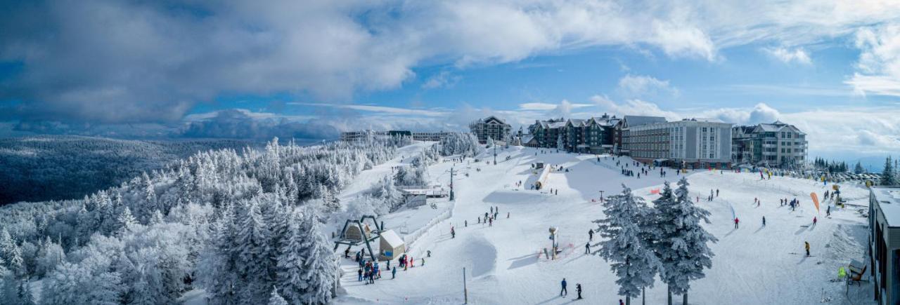 Stroll To Slopes, Village Area, Ski In-Out Mtlodge 304 スノーシュー エクステリア 写真